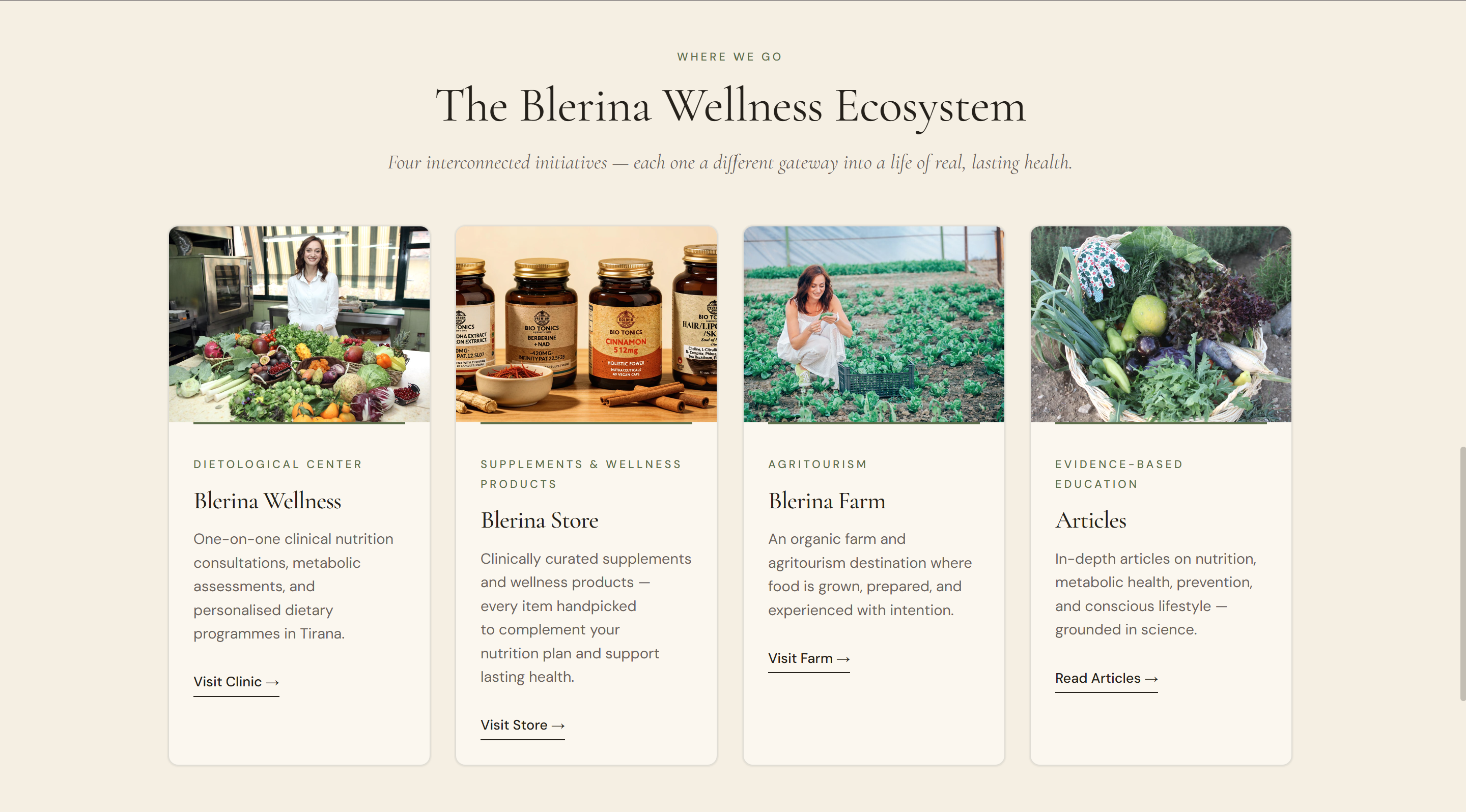 The Blerina Wellness website on a laptop
